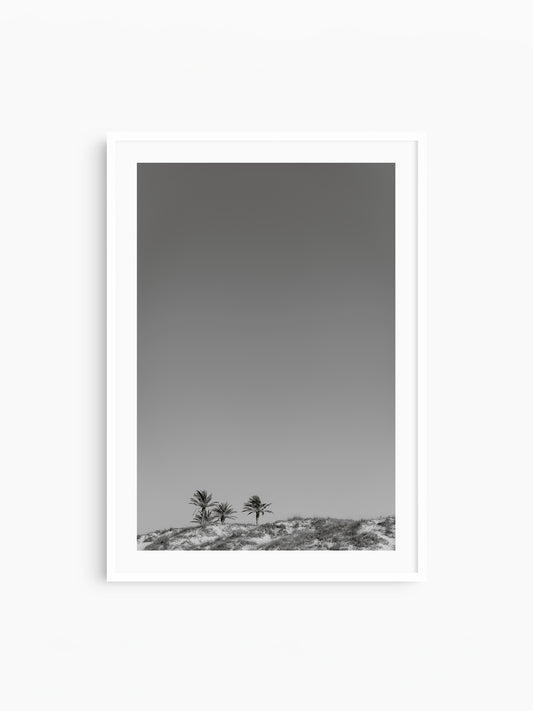 THREE PALMS . IBIZA BEACHES