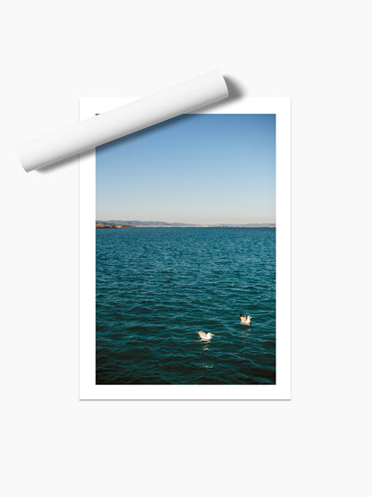 TWO GULLS . IBIZA SEASCAPES