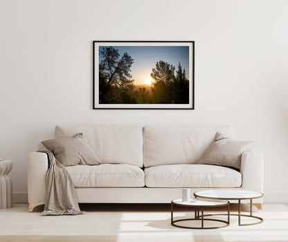 SUNRISE AND PINES Landscape Black Framed Lifestyle Shot