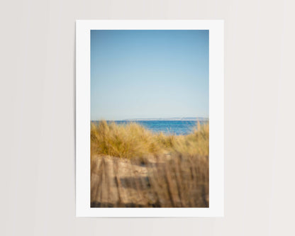 SAND DUNES ES CAVALLET . IBIZA BEACHES