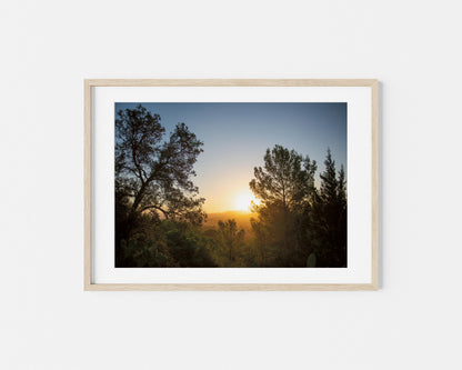 SUNRISE AND PINES Landscape Oak Framed