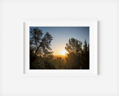 SUNRISE AND PINES Landscape White Framed