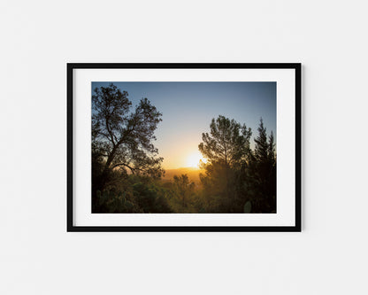 SUNRISE AND PINES Landscape Black Framed