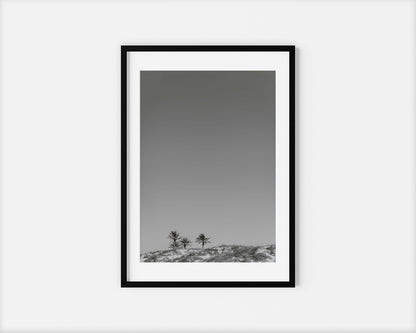 THREE PALMS . IBIZA BEACHES