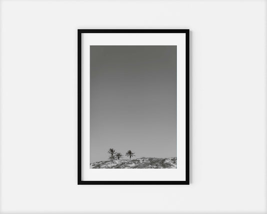 THREE PALMS . IBIZA BEACHES