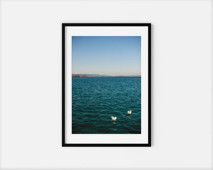 TWO GULLS IBIZA SEASCAPES Portrait Black Framed