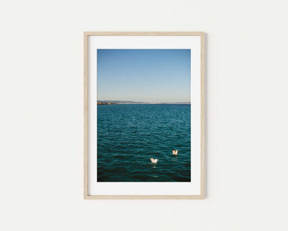 TWO GULLS IBIZA SEASCAPES Portrait Oak Framed