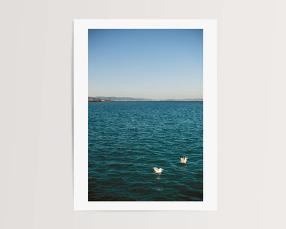 TWO GULLS . IBIZA SEASCAPES