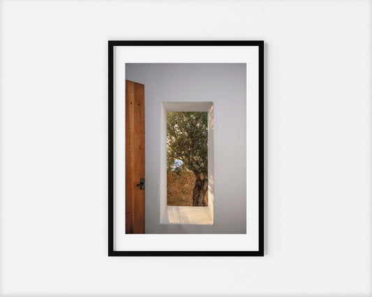 WINDOW WITH OLIVE TREE IBIZA CAMPO Portrait Black Framed