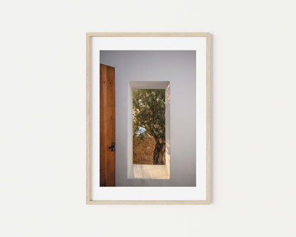 WINDOW WITH OLIVE TREE IBIZA CAMPO Portrait Oak Framed