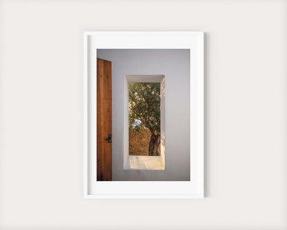 WINDOW WITH OLIVE TREE IBIZA CAMPO Portrait White Framed